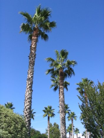 20060830160810.jpg